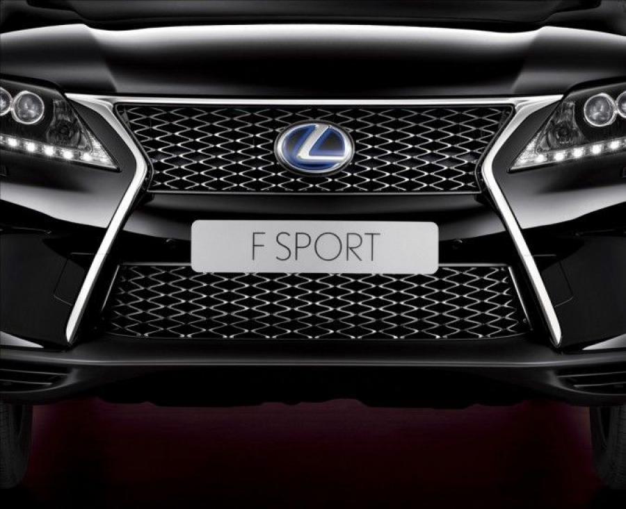 Детали экстерьера Lexus RX450h F-Sport 2013 года  (фото 3 из 8)